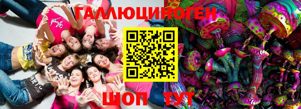 Хасавюрт  Галлюциногенные грибы GOLDEN TEACHER  Вход с VPN 