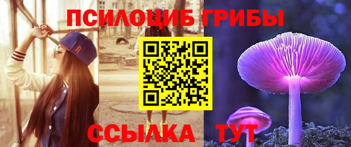 Галлюциногенные грибы GOLDEN TEACHER Хасавюрт